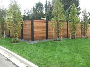 Cedar Privacy Fence Weatherford, Tx